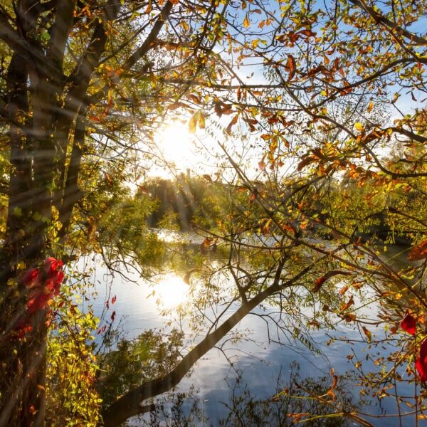 Herbstsonne am Neckar in Nürtingen