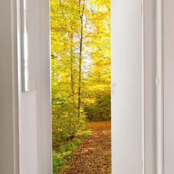 Herbsttür - Autumn door